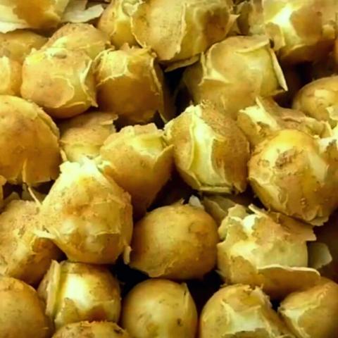 兰州一袋洗的相关长尾关键词有哪些