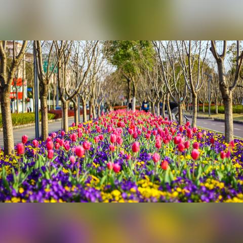 现在上海能来桂林吗相关长尾关键词有哪些