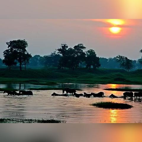 长沙市什么公园允许钓鱼