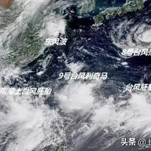 福建货代怎么样