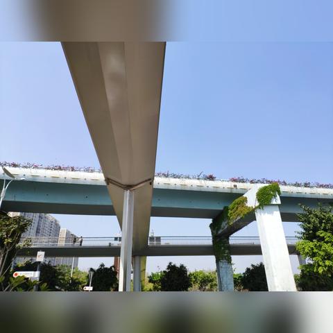厦门自行车创意的相关长尾关键词有哪些