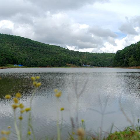 昆明市共享电单车电话的长尾关键词有什么