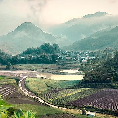 福建乌山茶的相关长尾关键词有哪些