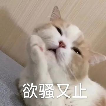 你好骚呀搞笑斗图表情