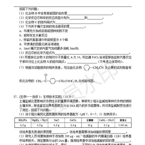 河南外国语学校怎么样