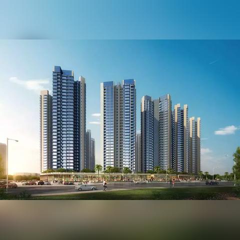 深圳市最大的区是哪个区