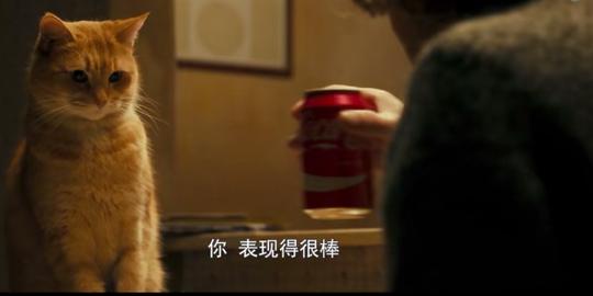 真实事件改编的年度冷门佳片《流浪猫鲍勃》：好好活着就挺有意义