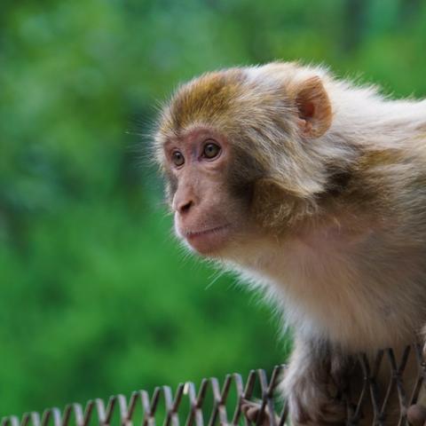 广东佛山市南海区谷店的长尾关键词有什么