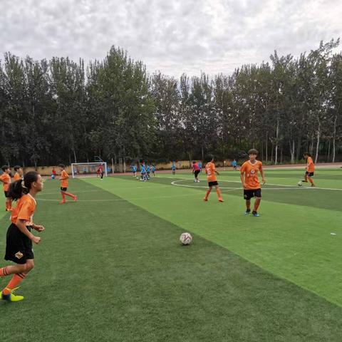 石家庄市土拍快报的长尾关键词有哪些