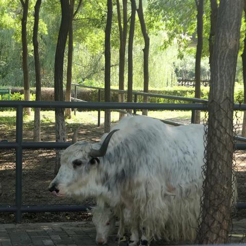 沈阳市小河边是哪个区