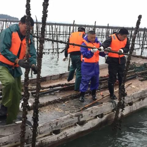 屿见厦门故事主题航线的相关长尾关键词有哪些