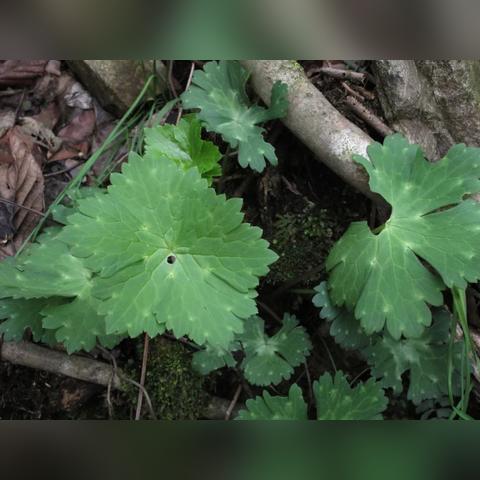 28路宁波的长尾关键词有什么