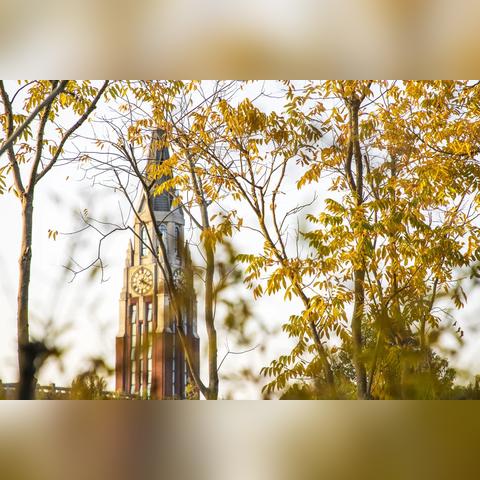 西安市39所待遇怎么样