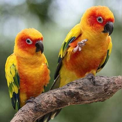 人类与人工智能爱情电影的相关长尾关键词有哪些