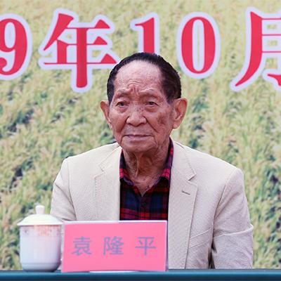 桂林市的粮食有哪些品种
