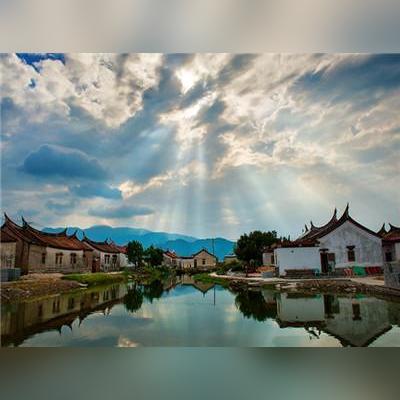 河南香樟怎么样