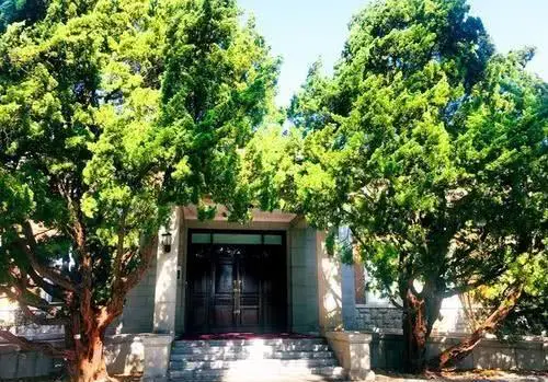 生命树教育怎么赚钱 搞教育赚钱吗