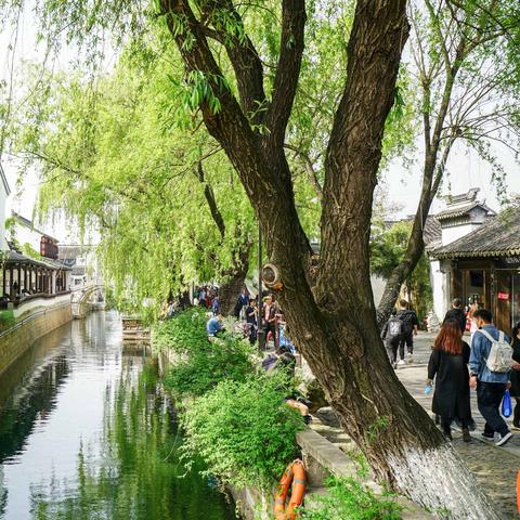 [高考状元苏州2017]长尾关键词有什么