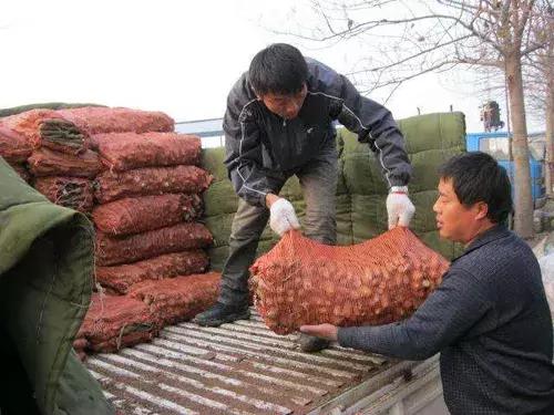 5个农村创业比打工挣得多，还不用看别人脸色！