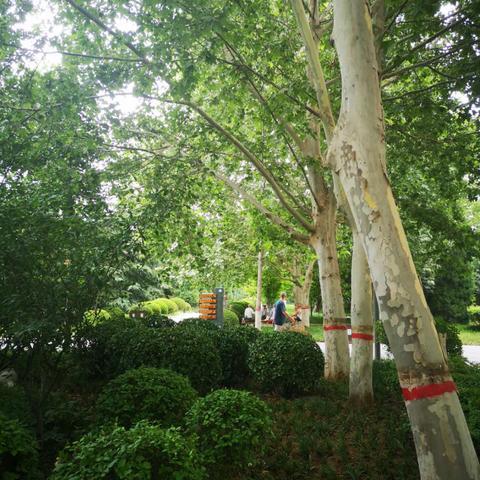 石家庄市有几个陵园墓地的长尾关键词有哪些
