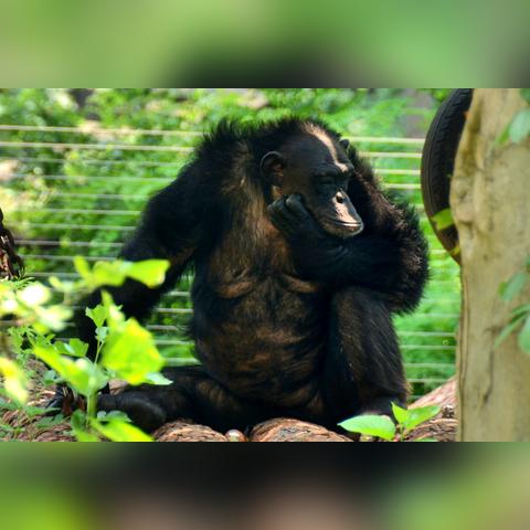 广州鹿苑路相关长尾关键词有哪些 广州鹿苑路相关长尾关键词有哪些