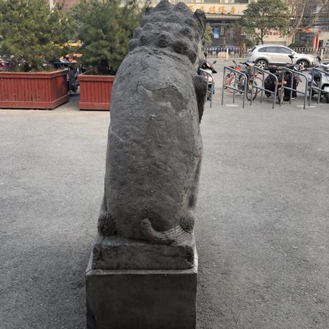 到西安兴庆公园的公交车有哪些？