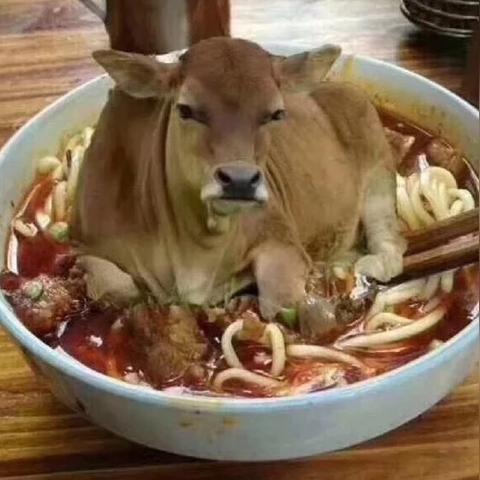 兰州市连锁牛肉拉面店在哪里