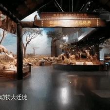 黄旭熙跑男济南相关长尾关键词有哪些