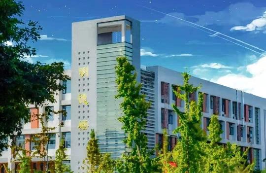 权威认证！四川这所高校培养成果获一等奖，这类人才国际通行