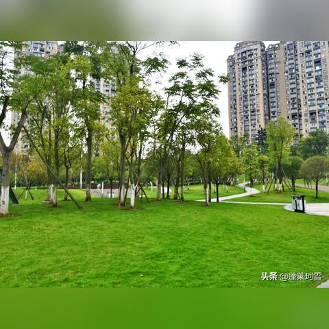 在水泥上怎么玩足球