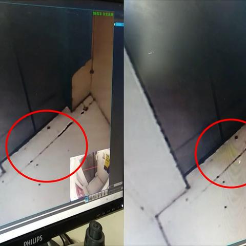 哈尔滨 电梯的相关长尾关键词有哪些