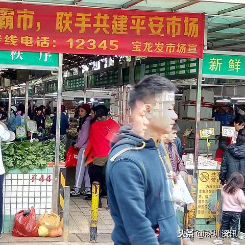 【深圳今日菜价】2025年6月8日深圳菜价是多少