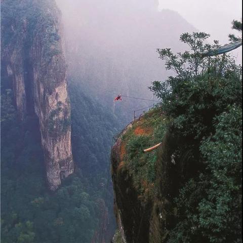 温州市手机被盗怎么查询