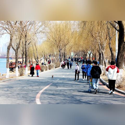 丁香湖在沈阳市哪个区