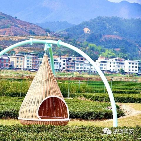 乐游悠深圳相关长尾关键词有哪些