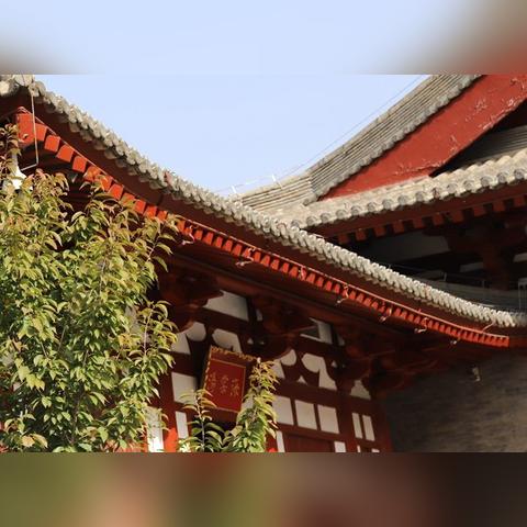 厦门市莲花总院的相关长尾关键词有哪些