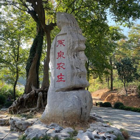 合肥市一日游哪里好玩