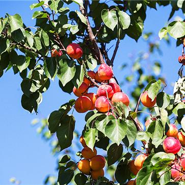 济南市龙山庄园怎么样啊