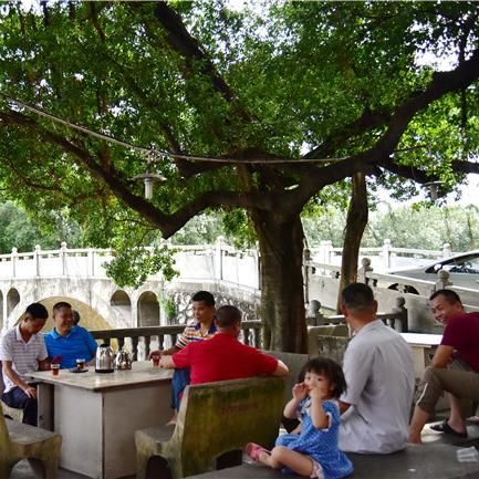 佛山市今年怎么不热