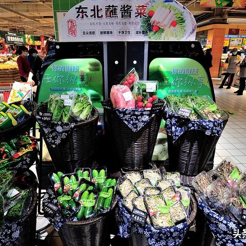 沈阳市哪个地方有野菜挖