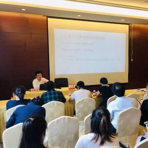 上海的优化公司有哪些
