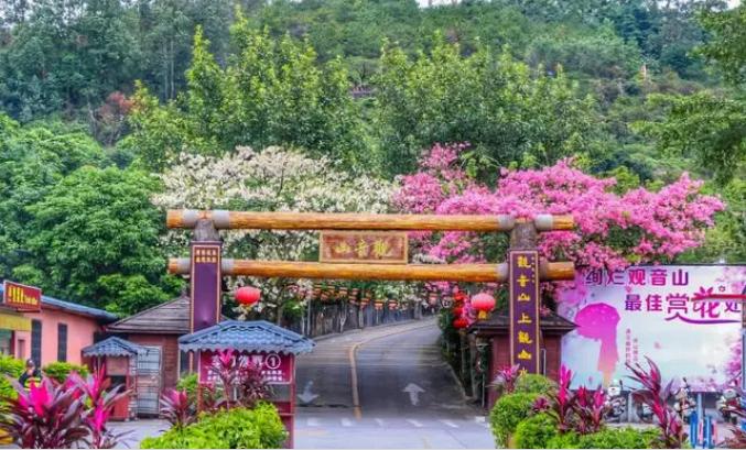 17日广东疫情速报
 ,17日广东疫情速报最新