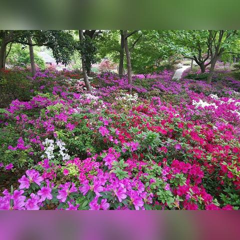 重庆锦绣滨江花园房价的长尾关键词有什么