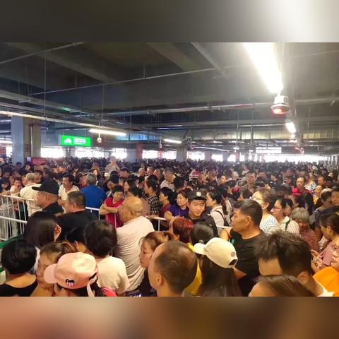 郑州到上海铁路有哪些