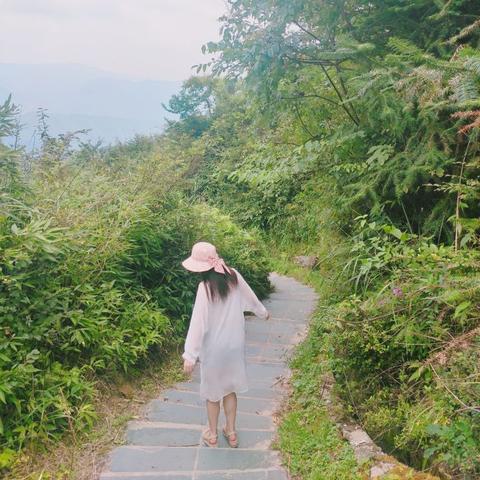 桂林去阳朔十里画廊相关长尾关键词有哪些