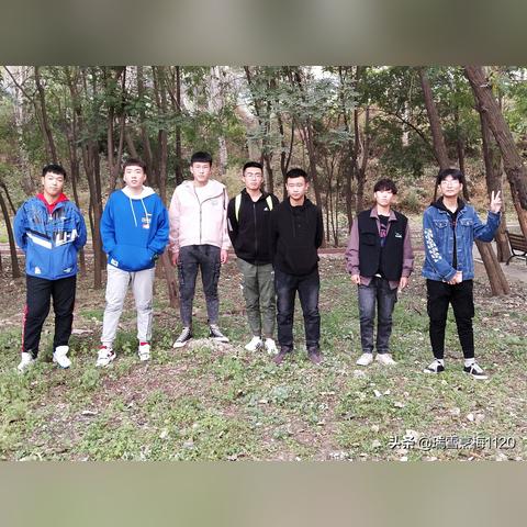 沈阳市寻宠宠物馆怎么样