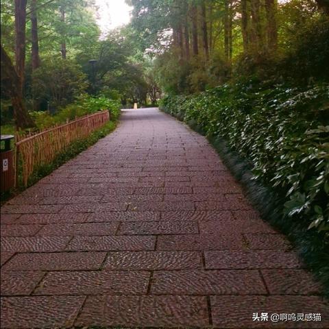 杭州市浴鹄湾有什么玩的