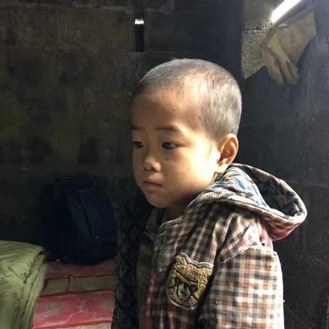 南宁致河池的动车票多少元？