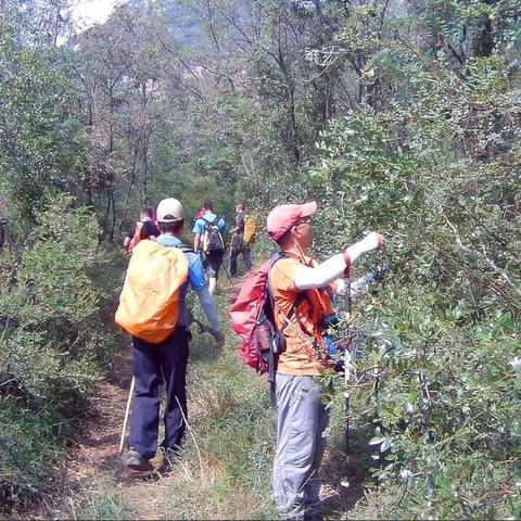 济南南部山区哪里可以摘酸枣？