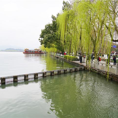 杭州市开什么会